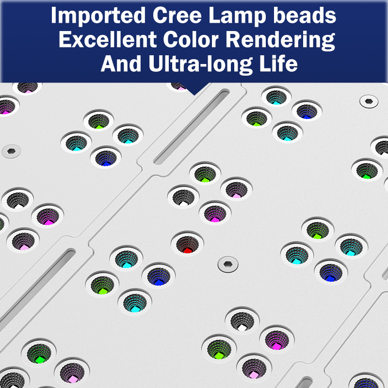 Hot KASSRAY T169/T215 CREEs LE - Reef Lighting 评论和价格