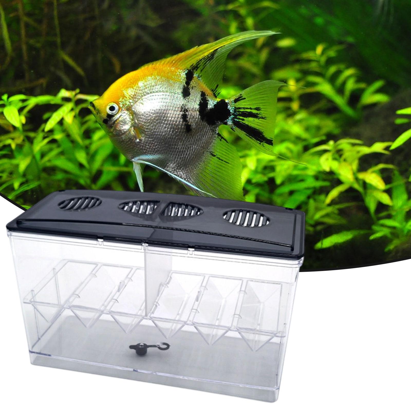 Floating Fish Breeding Isolati - Reef Tank Filter 评论和价格