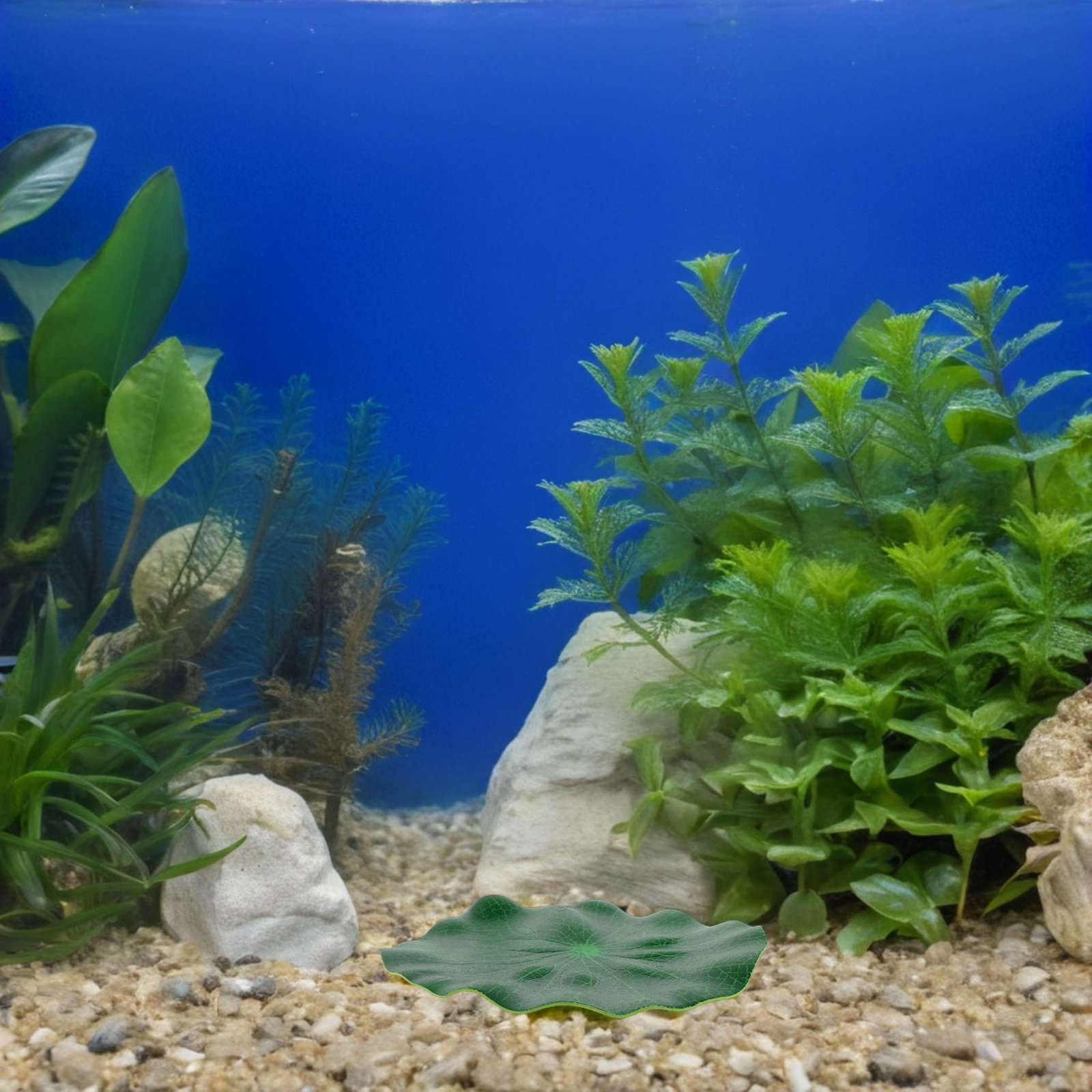 1Set Artificial Aquarium Plant - Saltwater Tank 评论和价格
